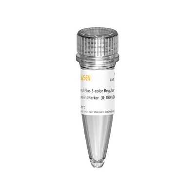 III 12-190KDa Prestained Protein Marker Drabinka do elektroforezy żelowej
