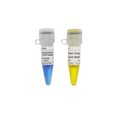 2× Universal Blue GSK Green QPCR Master Mix z 40× żółtym buforem do rozcieńczania szablonów