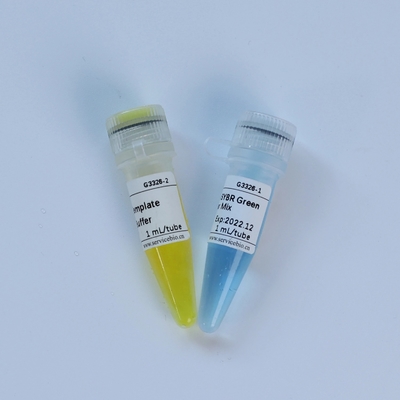 Uniwersalny odczynnik biochemiczny TaqMan Multiplex QPCR Master Mix