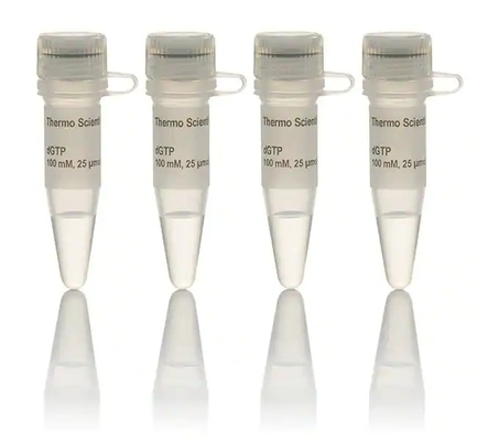 Odczynnik Biochemiczny 100 MM DNTP Zestaw Roztworów DATP DCTP DTTP DGTP