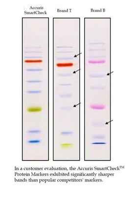 Bezpośrednie załadowanie Color Prestained Protein Marker 10-180kDa Odczynnik biochemiczny
