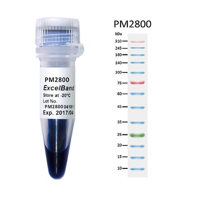 11 pasm 9-180KDA Blue High Range Protein Marker 2x250ul 3 Color 25-300kDa