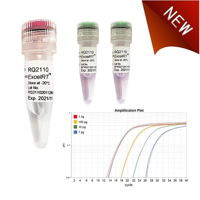 Odczynnik biochemiczny No Rox QPCR Mix 1000 X 20ul Reakcje Accuris QMax Green