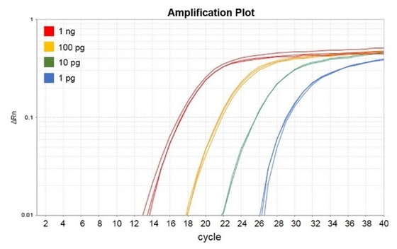 Odczynnik biochemiczny No Rox QPCR Mix 1000 X 20ul Reakcje Accuris QMax Green