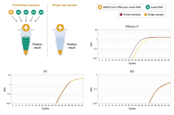 Uniwersalny odczynnik biochemiczny TaqMan Multiplex QPCR Master Mix