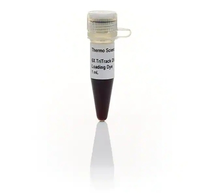GeneRuler Gotowy do użycia odczynnik biochemiczny DNA Ladder 1kb Plus
