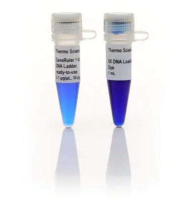 GeneRuler Gotowy do użycia odczynnik biochemiczny DNA Ladder 1kb Plus