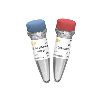 pojedynczy enzym Nowa ligaza DNA T4 400 U/UL WYŁĄCZNIE do użytku badawczego