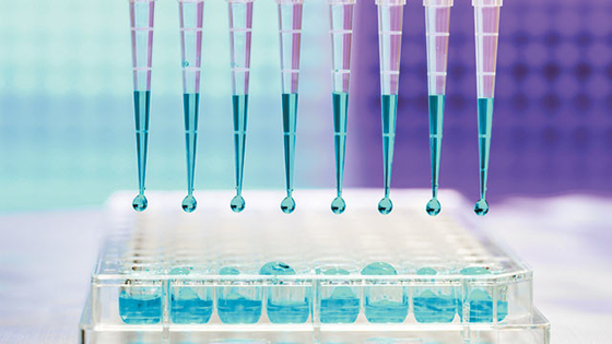 10UL 100UL Sterylne końcówki do pipet bez Rnas Micro Universal For Laboratory
